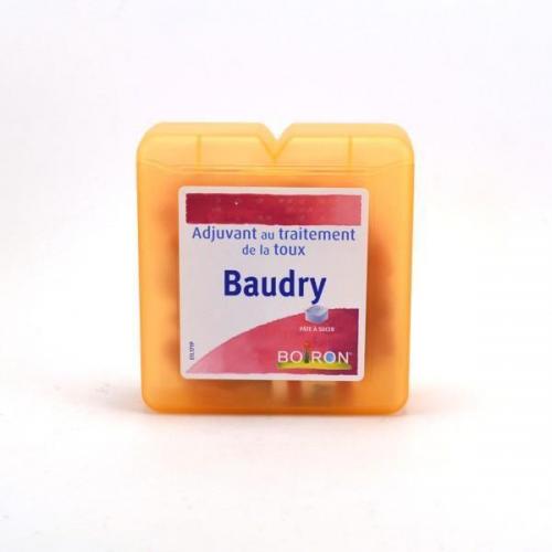 Pastilles Baudry
